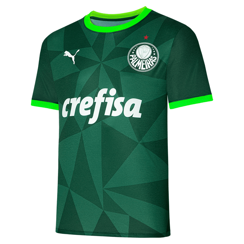 Camisa Palmeiras Home 23/24 s/n° Torcedor Masculino - Verde